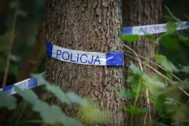 Policjanci odkryli w lesie koło Zgierza ukryte w worku i zakopane w lesie zwłoki noworodka. Dziewczynka przyszła na świat w ósmym lub dziewiątym miesiącu ciąży. Zatrzymano w tej sprawie 37-letnia kobietę.