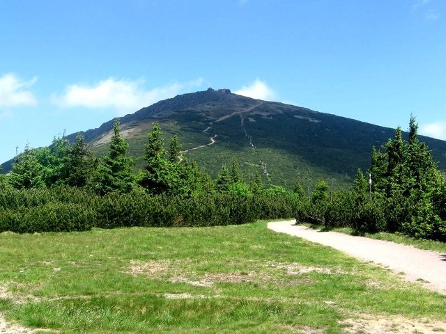 Widok na Śnieżkę, Karkonosze