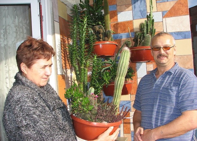 Elżbieta i Dariusz Smaccy większość kaktusów już przenieśli z balkonu do mieszkania. Tylko niektóre jeszcze mogły wczoraj, w słońcu, zdobić loggię.