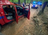 12-latek zaginął w Sudetach! Duża akcja poszukiwawcza zakończona powodzeniem!