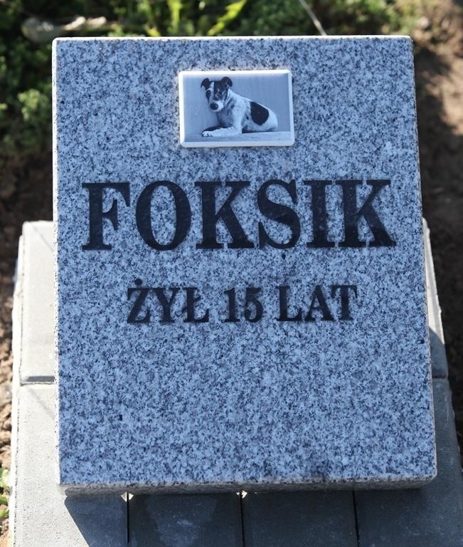 Na cmentarzu dla zwierząt przy ul. Malowniczej pochowano już...
