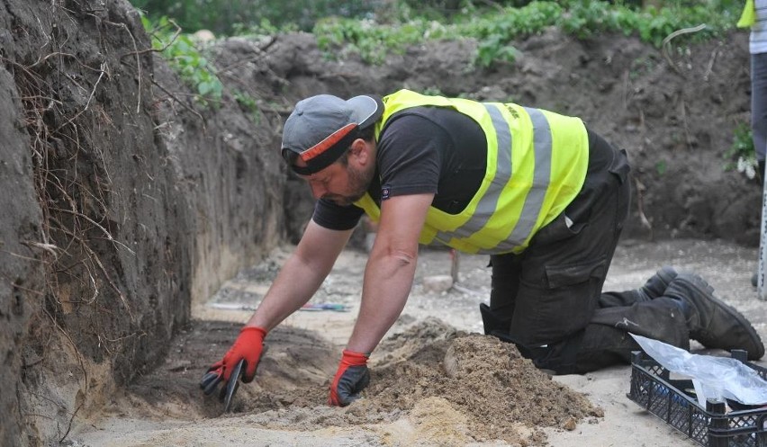 Archeolodzy z Muzeum Twierdzy Kostrzyn prowadzili badania na...