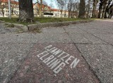 Zginęła pamiątkowa płytka chodnikowa z pl. 3 Maja w Malborku. Mieszkańcy chodzili po niej przez ponad 100 lat
