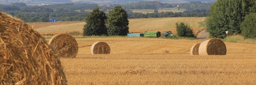 Wiceminister Zarudzki: - Polska wieś się starzeje, ale nasi rolnicy są coraz młodsi 