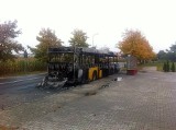 Skórzewo: autobus gminny spłonął doszczętnie [ZOBACZ ZDJĘCIA]