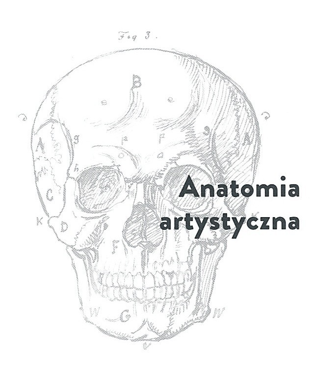 Anatomia – podstawa sztuki