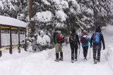 Tatry. Czwarty stopień zagrożenia lawinowego nie wystraszył turystów [ZDJĘCIA]