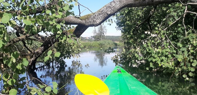 Na Pomorzu jest całkiem sporo łatwych kajakowych rzek. Do nich zalicza się Radunia na odcinku Ostrzyce – Kiełpino. Do pokonania jest około 14 kilometrów. Zajmuje to, spokojnym tempem, około 4 godzin (bez długich przerw na odpoczynek).
