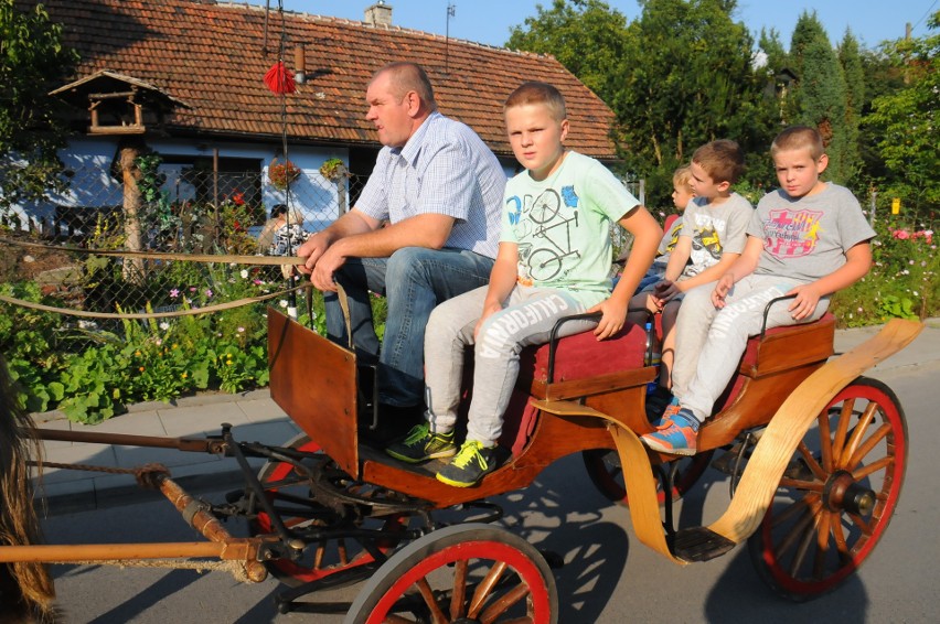 Kraków. Święto Ulicy Włodzimierza Tetmajera za nami [ZDJĘCIA]