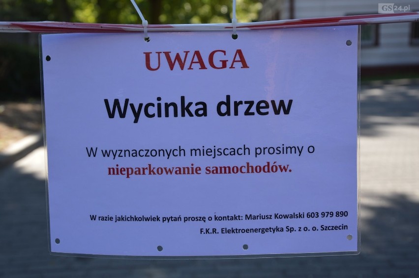 Szczecin: Wycinka drzew w okresie lęgowym. "To jest po prostu barbarzyństwo" [WIDEO]