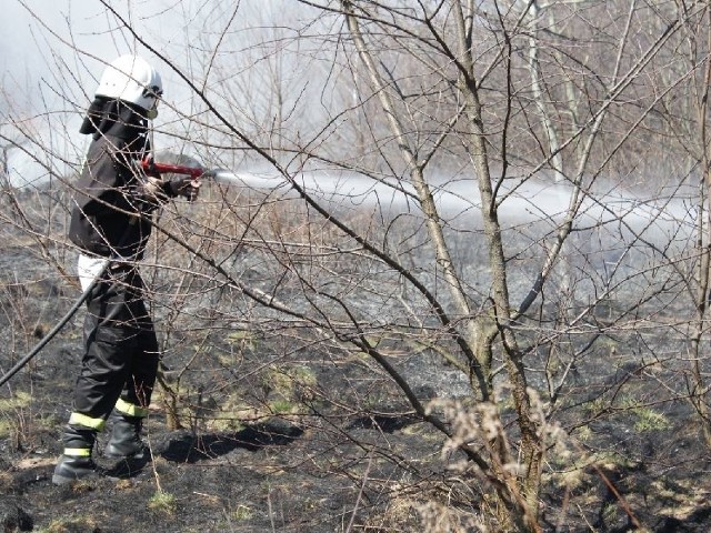 Strażacy z OSP Rudnik nad Sanem gaszą płonącą łąkę w okolicach Rudnika &#8211; Stróży.