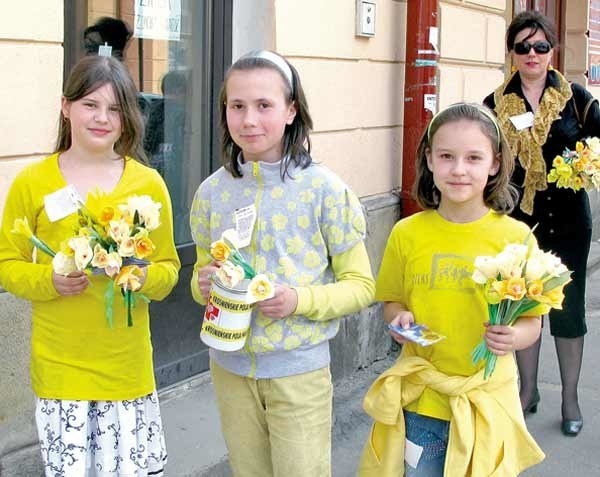 Wiosną na ulice miasta znowu wyjdą dzieci i młodzież z żonkilami. Za datki ofiarowane dla hospicjum będą dziękować kwiatami. 
