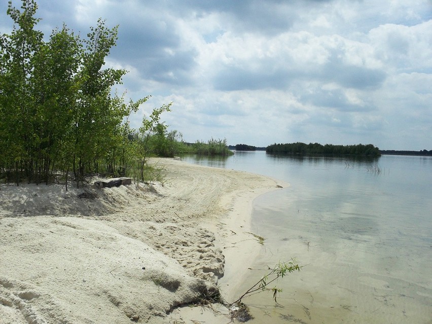 Naturyści na plaży nad Pogorią IV