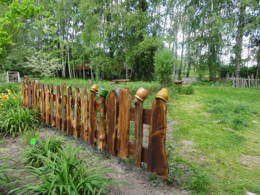 We wtorek otwiera się Arboretum w Bolestraszycach. Liczba odwiedzających będzie ograniczona 