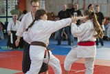Toruńscy karatecy w czołówce wielkiego turnieju