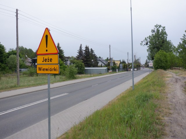 Takie oznakowanie kierowcy napotkają między innymi na ul. Mińskiej w Bydgoszczy, na wysokości parku nad Kanałem Bydgoskim
