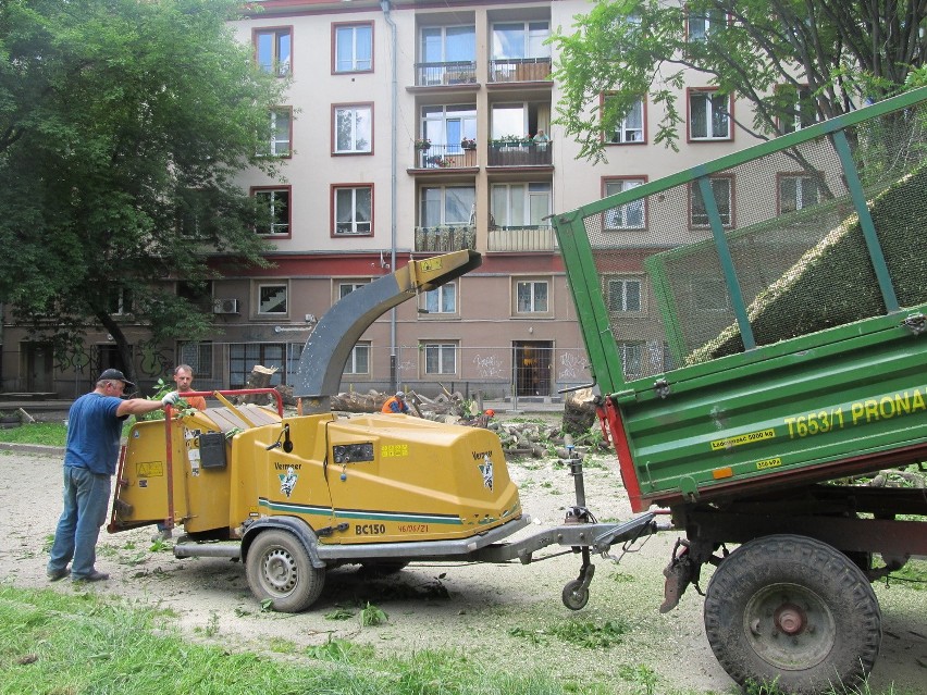 Wrocław: Wycinają drzewa na skwerku przy ul. Szewskiej