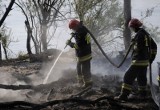 Pożar lasu w Strzyżawie [zdjęcia]