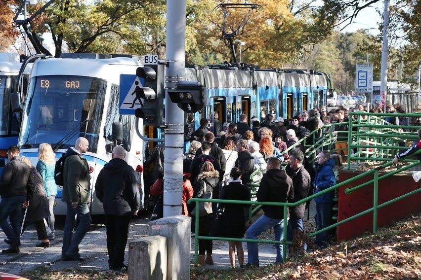 Cmentarz Osobowicki 1.11.2015