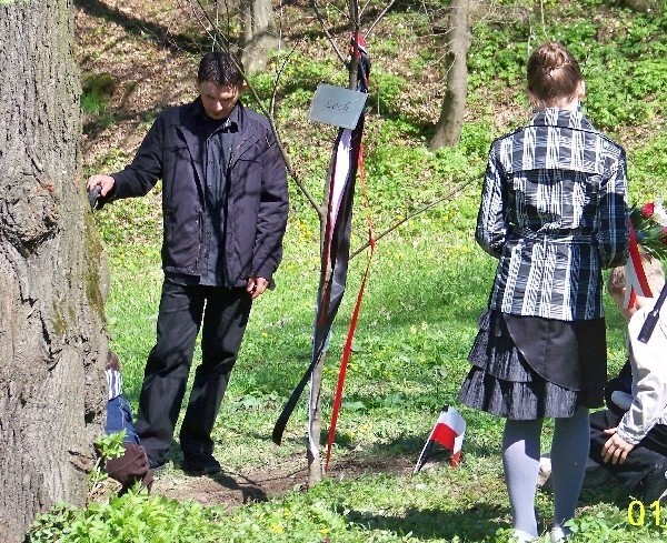 Dąb Lech na cześć Lecha Kaczyńskiego.