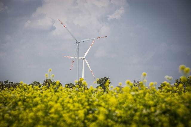 Tauron kupił nowe farmy wiatrowe