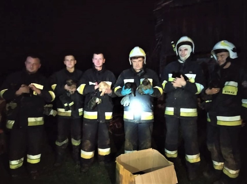 Strażacy uczestniczący w akcji w Zalasowej z uratowanymi...