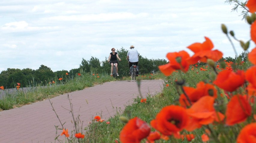 Rowerem przez region. Program promujący ścieżki rowerowe na Pomorzu Zachodnim 