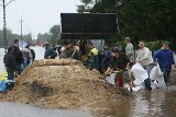 Alarm powodziowy w Cholewianej Górze w gminie Jeżowe