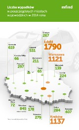 Wypadki drogowe w 2014 roku w Polsce. Które z miast są najbezpieczniejsze? 