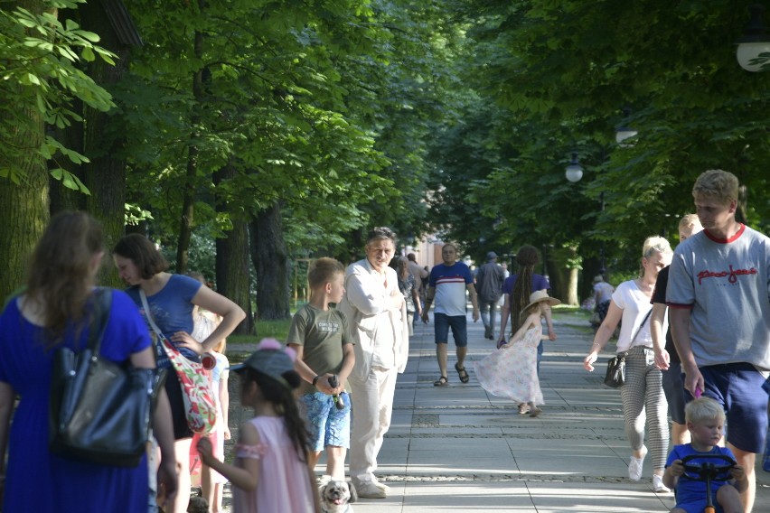 Free(Ra)dom Festiwal. Strefa Wolnych Dzieci w parku Kościuszki w Radomiu. Było mnóstwo atrakcji. Zobaczcie zdjęcia