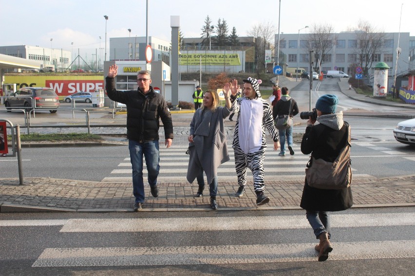 Akcja policji: Zebry przeprowadzały ludzi przez pasy w Katowicach