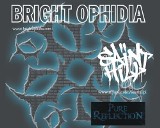 Bright Ophidia, Saint Hill, Pure Reflection w Spodkach. Mamy bilety