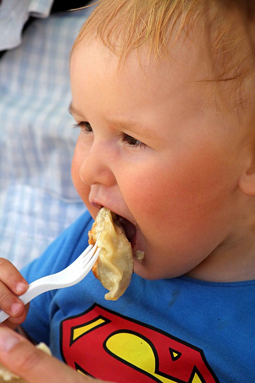 Tłumy na festiwalu pierogów w Bychawie [ZDJĘCIA]