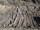 Kolejne ludzkie szkielety znalezione na posesji we Włostowie. To ofiary II wojny światowej