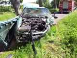 Pakosze. Wypadek volkswagena. Kobieta uderzyła w drzewo (zdjęcia)