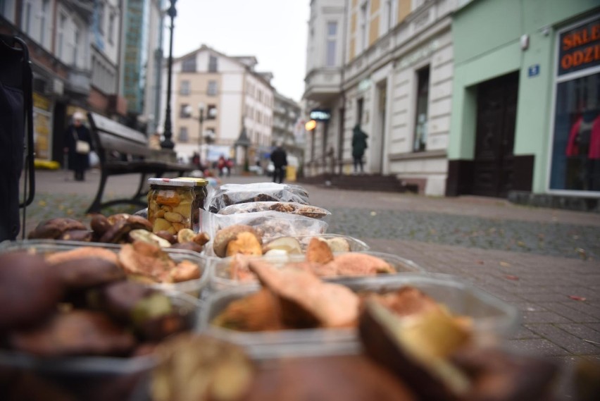 Grzybiarze mówią o lasach w okolicach Zamrzenicy (powiat...