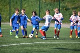 Turniej „Z Podwórka na Stadion o Puchar Tymbarku” w Jędrzejowie. Zobacz zdjęcia sportowych zmagań dzieci