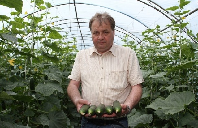 - To katastrofa. Jak tak dalej będzie, zmarnują się tony dobrych warzyw – mówi Witold Markowski. Fot. Dariusz Danek