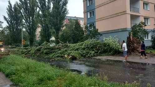 Burza w Łodzi. Nawałnica nad Łodzią. Powalone drzewa, gałęzie na drogach, zalane ulice [ZDJĘCIA]