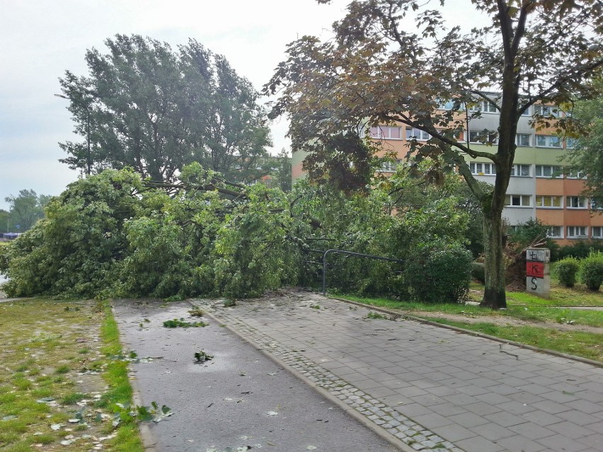 Burza w Łodzi. Nawałnica nad Łodzią. Powalone drzewa, gałęzie na drogach, zalane ulice [ZDJĘCIA]