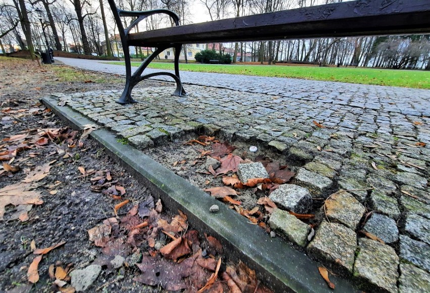Zniszczona ławka i znikający bruk z parku dzikowskiego w Tarnobrzegu. Ktoś kradnie kostkę granitową? (ZDJĘCIA)