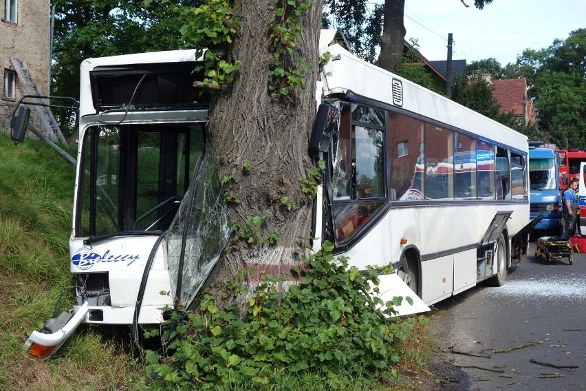 Wypadek w Zarębie pod Lubaniem. Autobus wjechał w drzewo, 22 osoby ranne 