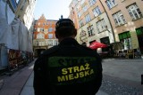 Kolejny nabór do straży miejskiej w Katowicach. Wolne są 23 wakaty. Większa liczba funkcjonariuszy ma zwiększyć bezpieczeństwo w mieście