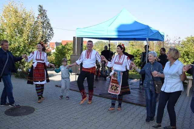 Więckowice. Tutaj farmerzy z autyzmem uczą się życia [ZDJĘCIA, WIDEO]