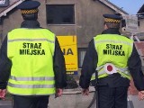 Strażnicy miejscy przetrzebili handlujących pod cmentarzem na Firleju w Radomiu