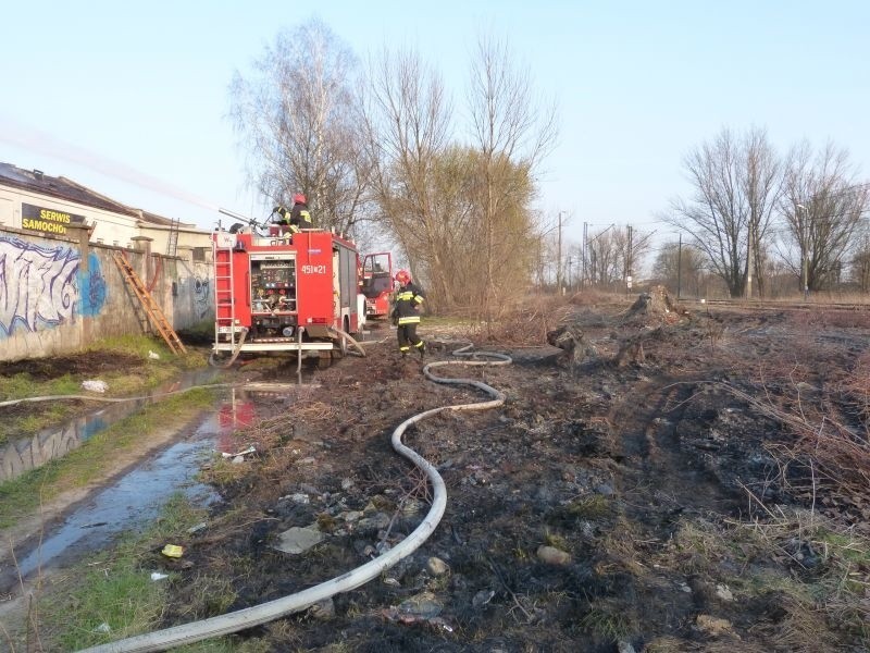 Pożar przy obwodnicy w Ostrowcu