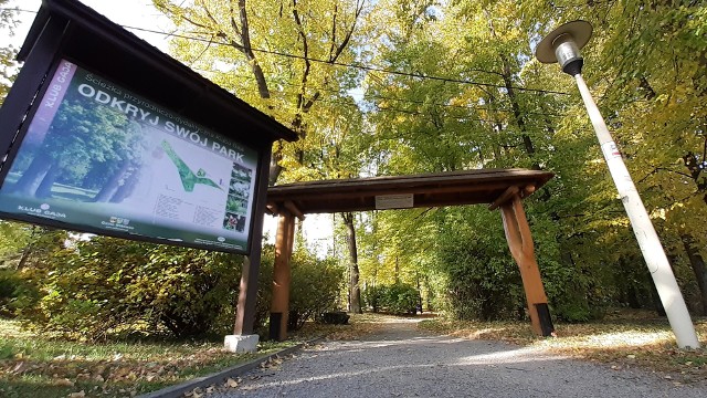 Park w Wilkowicach nie jest typowym parkiem miejskim, utrzymany jest bardziej na dziko