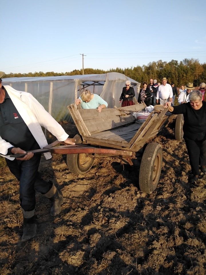 Koło Gospodyń Wiejskich w Kaszowie zorganizowało pokaz...