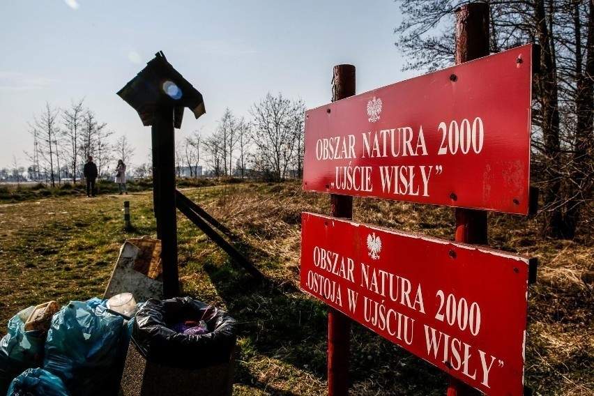 Wynagrodzenie strażnika leśnego mieści się w widełkach...