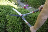 Jakie narzędzia ogrodowe wybrać i jak zaplanować wiosenne porządki w ogrodzie